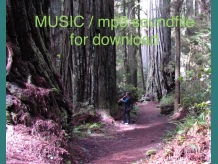 MUSIC: De mon arbre...  by Nathalie Picard (Original Native American Indian Flut
