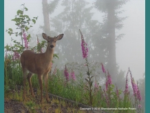 My photography work inspired by Nature's surrounding beauty!