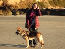 I love spending time in nature with my german sheppard!