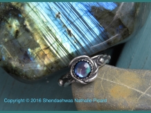 Mermaid's abalone By Shendaehwas